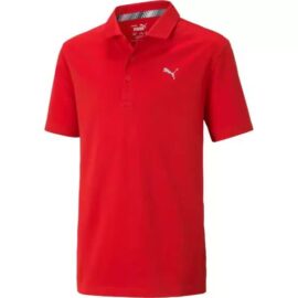 Puma Boy's Essential Polo