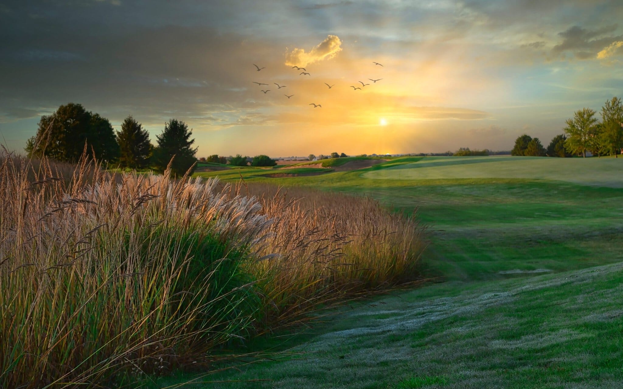 Fall Golf
