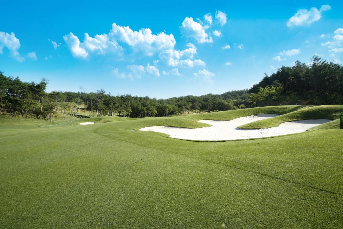 3 Things We Love about Collegiate Golf